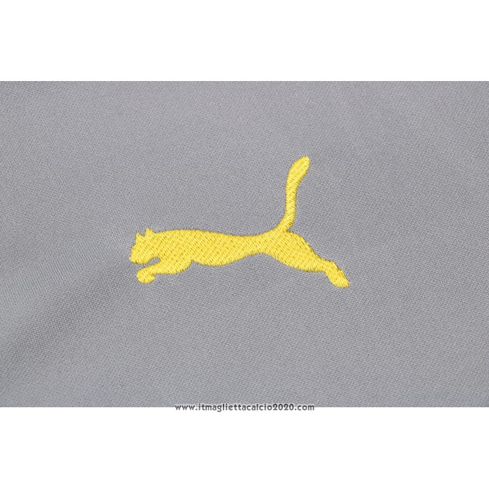 Tuta da Track Felpa Borussia Dortmund 2021 2022 Grigio